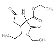 2,2-Pyrrolidinedicarboxylicacid, 5-oxo-3-propyl-, 2,2-diethyl ester structure