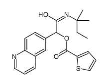 2-Thiophenecarboxylicacid,2-[(1,1-dimethylpropyl)amino]-2-oxo-1-(6-quinolinyl)ethylester(9CI) picture