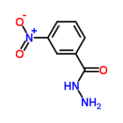 3-Nitrobenzhydrazide structure