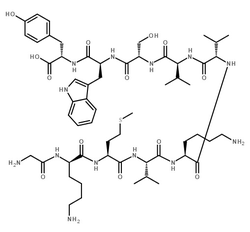 Dehydrogenase Structure