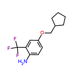 4-(Cyclopentylmethoxy)-2-(trifluoromethyl)aniline Structure