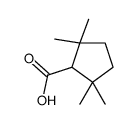 2,2,5,5-tetramethylcyclopentane-1-carboxylic acid Structure