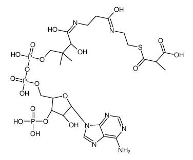 methylmalonyl-CoA结构式