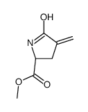 L-Proline, 4-methylene-5-oxo-, methyl ester (9CI) structure