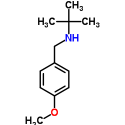 N-(4-Methoxybenzyl)-2-methyl-2-propanamine结构式