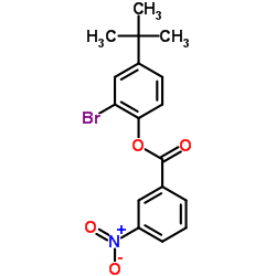 2-Bromo-4-(2-methyl-2-propanyl)phenyl 3-nitrobenzoate Structure