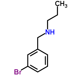 N-(3-Bromobenzyl)-1-propanamine picture