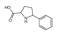 (2S,5S)-5-苯基吡咯烷-2-羧酸结构式