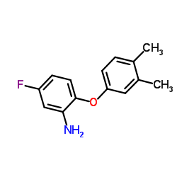 2-(3,4-Dimethylphenoxy)-5-fluoroaniline结构式