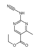 5-Pyrimidinecarboxylicacid,2-(cyanoamino)-4-methyl-,ethylester(9CI) Structure