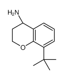 (R)-8-(tert-Butyl)chroman-4-amine结构式