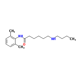 6-(butylamino)-N-(2,6-dimethylphenyl)hexanamide Structure