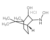 (+)-3-HYDROXYLAMINO ISOBORNEOL HYDROCHLORIDE Structure