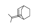 5-propan-2-ylidenebicyclo[2.2.2]oct-2-ene结构式