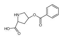 (2S,4R)-4-benzoyloxypyrrolidine-2-carboxylic acid结构式