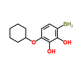 4-cyclohexyloxybenzeneboronic acid structure