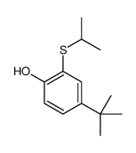 4-tert-butyl-2-propan-2-ylsulfanylphenol Structure