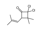 2,2-dichloro-3,3-dimethyl-4-(2-methylprop-1-enyl)cyclobutan-1-one Structure