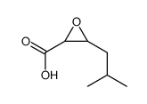 Oxiranecarboxylic acid,3-(2-methylpropyl)- (9CI) Structure