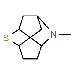 2,5-Methanothiopyrano[3,2-b]pyrrole,octahydro-1-methyl-(9CI) picture