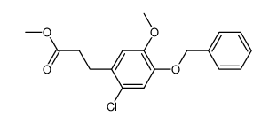 methyl 3-(6-chloro-3-methoxy-4-benzyloxyphenyl)propionate Structure