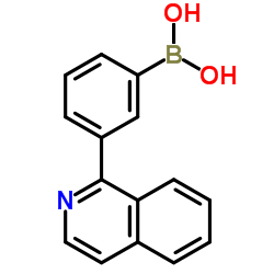 [3-(1-Isoquinolinyl)phenyl]boronic acid Structure