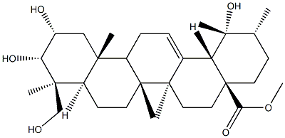 2α,3α,19,24-Tetrahydroxyurs-12-en-28-oic acid methyl ester picture