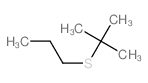 2-methyl-2-propylsulfanyl-propane结构式