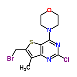 6-(Bromomethyl)-2-chloro-7-methyl-4-(4-morpholinyl)thieno[3,2-d]pyrimidine结构式