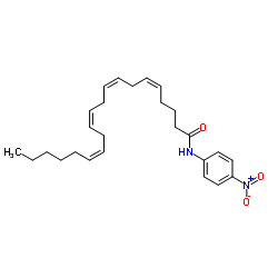 N-(4-nitrophenyl)icosa-5,8,11,14-tetraenamide Structure