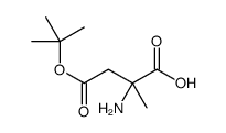 (R)-alpha-Methylaspartic acid-4-tert-butyl ester结构式