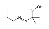 2-PROPYLAZO-2-PROPYLHYDROPEROXIDE Structure