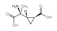 (2S,3S,4S)-2-METHYL-2-(CARBOXYCYCLOPROPYL)GLYCINE picture