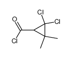 Cyclopropanecarbonyl chloride, 2,2-dichloro-3,3-dimethyl- (9CI)结构式