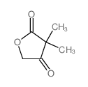 2,4(3H,5H)-Furandione,3,3-dimethyl- picture