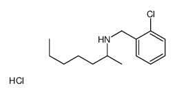 N-[(2-chlorophenyl)methyl]heptan-2-amine,hydrochloride结构式