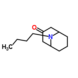 9-AZABICYCLO[3.3.1]NONAN-3-ONE, 9-BUTYL-结构式