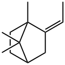 2-[(Z)-Ethylidene]-1,7,7-trimethylbicyclo[2.2.1]heptane结构式