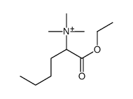 (1-ethoxy-1-oxohexan-2-yl)-trimethylazanium结构式