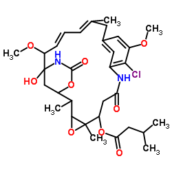 Maytansine, O3-de2-(acetylmethylamino)-1-oxopropyl-22-demethyl-O3-(3-methyl-1-oxobutyl)-结构式