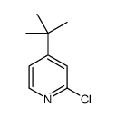 4-tert-butyl-2-chloropyridine structure