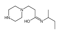 N-butan-2-yl-3-piperazin-1-ylpropanamide结构式