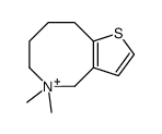 5,5-dimethyl-6,7,8,9-tetrahydro-4H-thieno[3,2-c]azocin-5-ium结构式