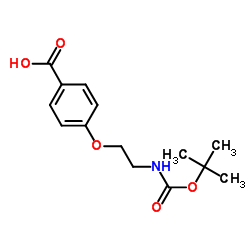 4-(2-((叔丁氧基羰基)氨基)乙氧基)苯甲酸图片