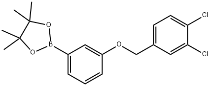 2-{3-[(3,4-dichlorophenyl)methoxy]phenyl}-4,4,5,5-tetramethyl-1,3,2-dioxaborolane Structure