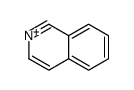 Isoquinolinium结构式