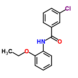 3-Chloro-N-(2-ethoxyphenyl)benzamide picture
