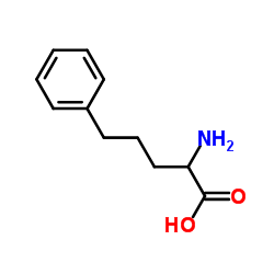 5-Phenylnorvaline Structure