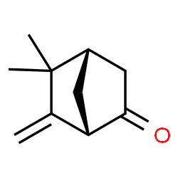 (1S,4S)-5,5-Dimethyl-6-methylenebicyclo[2.2.1]heptan-2-one结构式