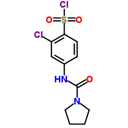 2-CHLORO-4-[(PYRROLIDINE-1-CARBONYL)-AMINO]-BENZENESULFONYL CHLORIDE Structure